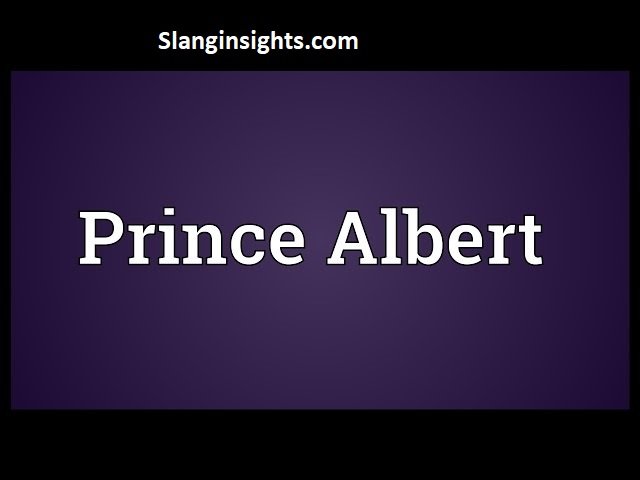 Prince Albert Slang Meaning Complete Guide with Examples