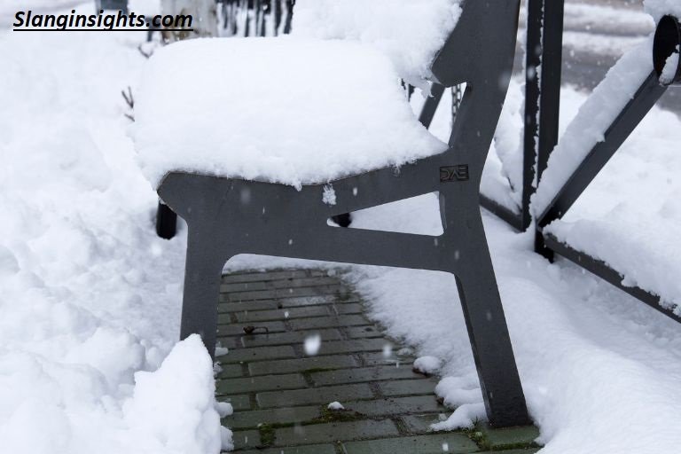 What Is a Snow Bunny Slang? Full Meaning & Uses