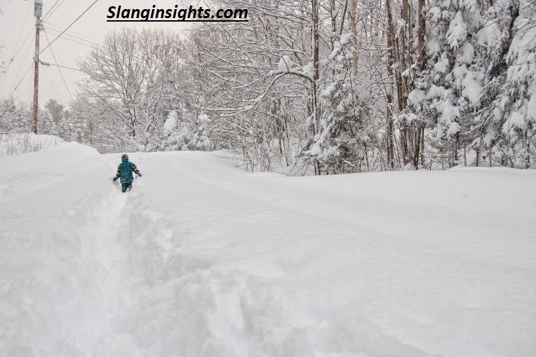 What Is a Snow Bunny Slang? Full Meaning & Uses