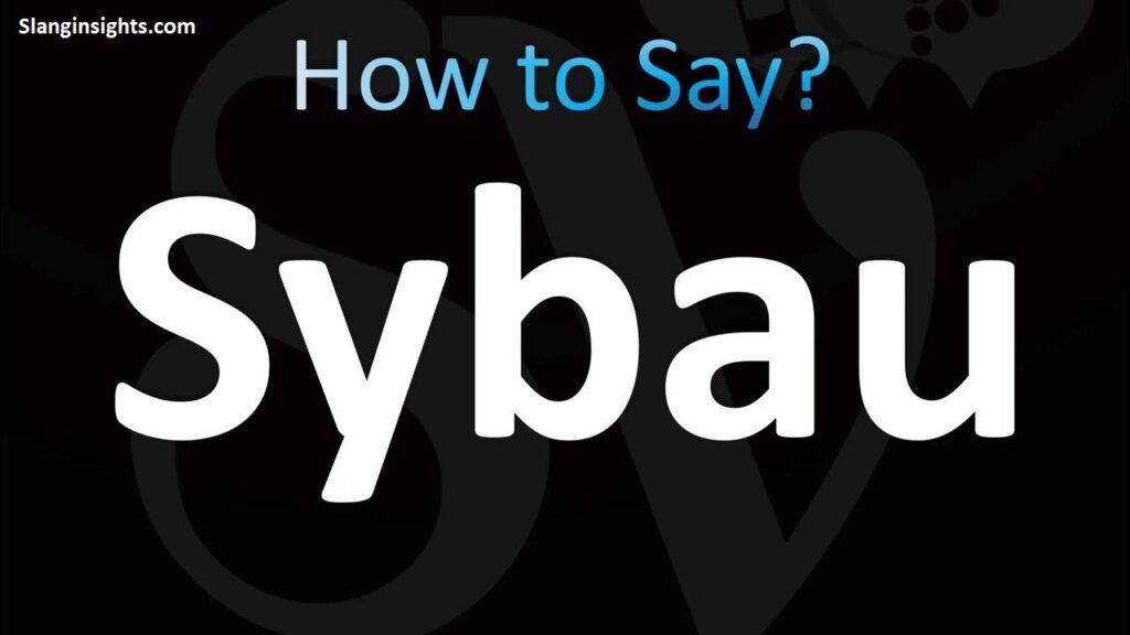 SYBAU Slang Meaning What It Means in Text, TikTok, and Social Media