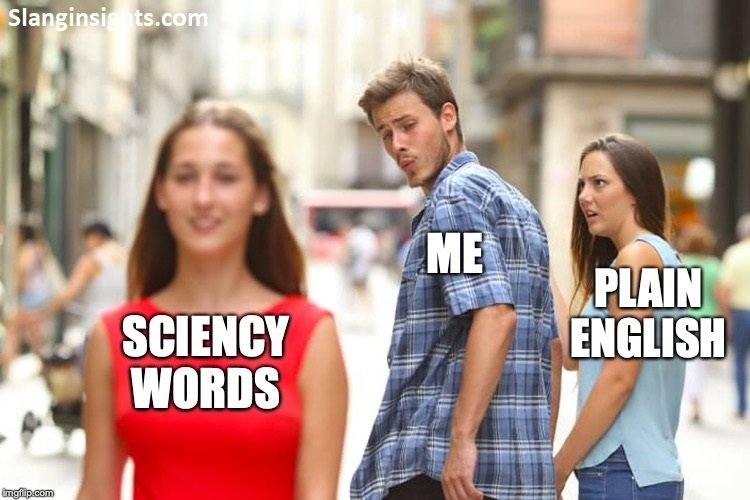 Meme Words The Secret Language of the Internet Explained