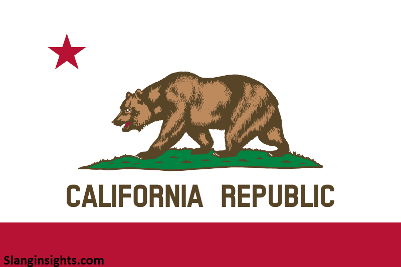 California Slang Words 100 Popular Sayings Locals Use Every Day