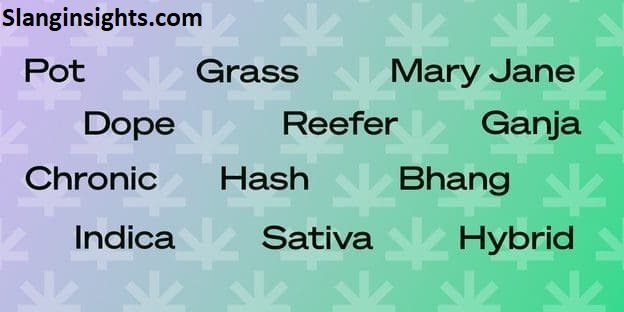 Slang Words for Weed A Complete Guide to Marijuana Nicknames