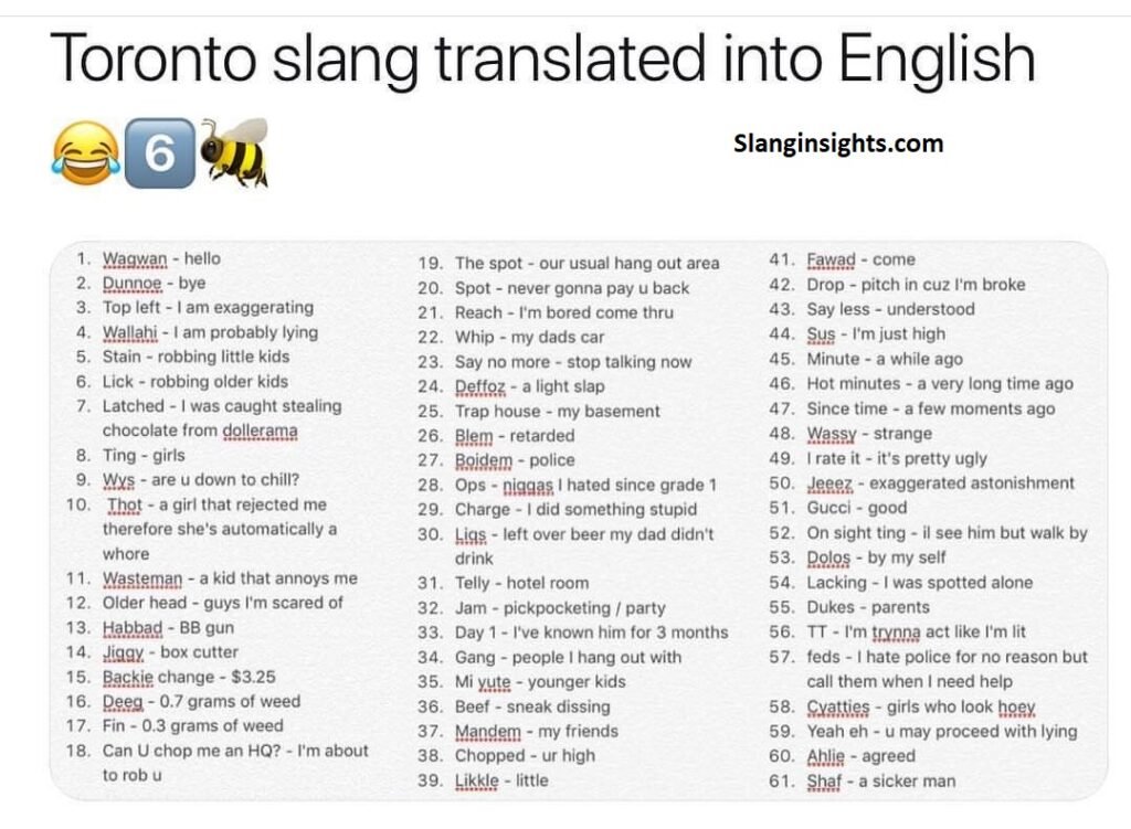 Toronto Slang Words Explained What Drakes Lyrics Are Actually Saying