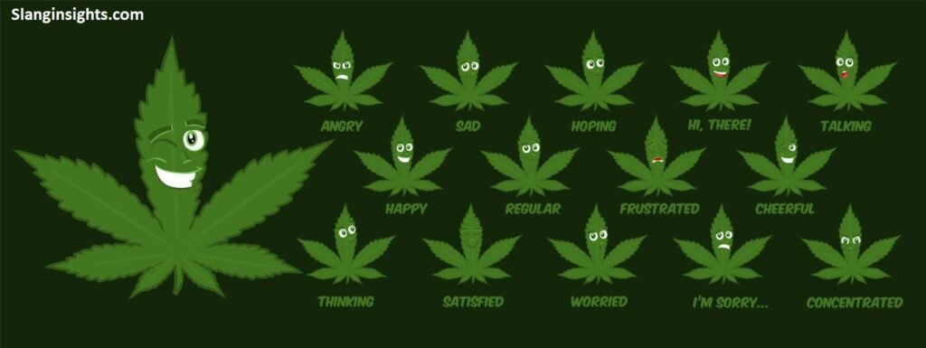 Slang Words for Weed A Complete Guide to Marijuana Nicknames