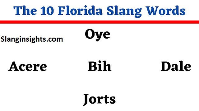 Florida Slang Words 100 Popular Sayings Locals Use Every Day