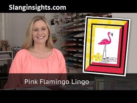 Flamingo Slang Meaning Popular Uses and Examples Explained