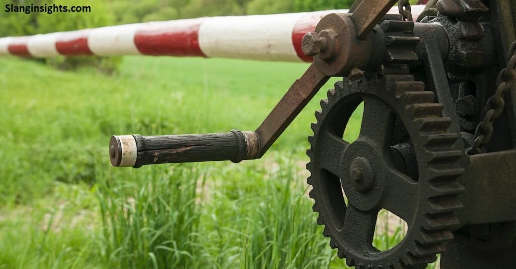 Crank Meaning in Slang Definition, Uses & Examples (2026)