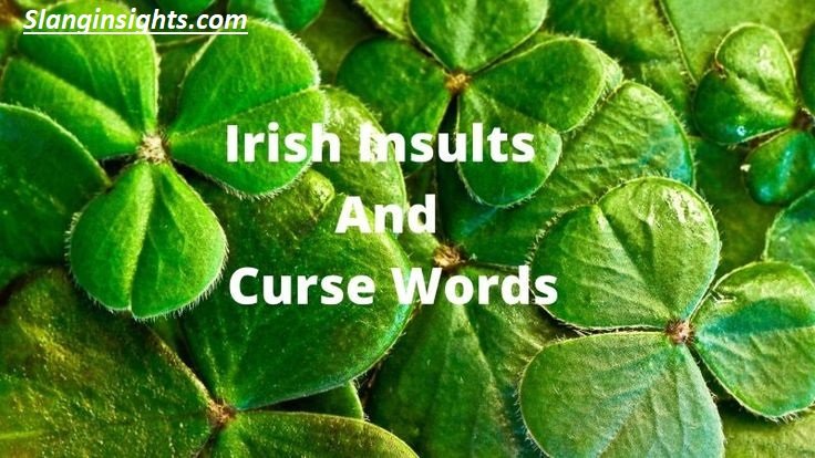Irish Slang Insults 101 How to Get Cheeky Like a True Dubliner