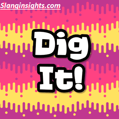 Dig 1960 Slang Dictionary Dig, Groovy, and Other Far Out Terms