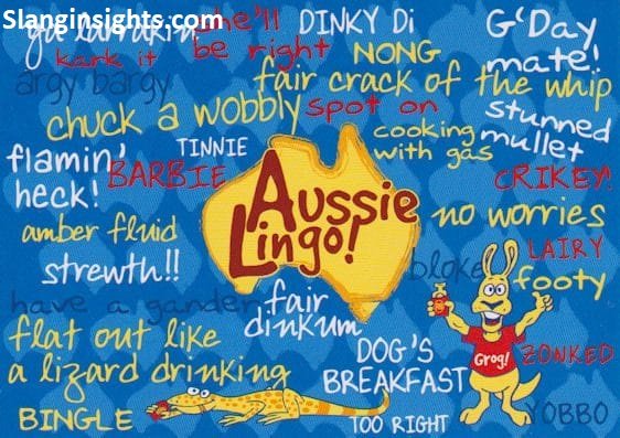 Australian Insults 101 How to Roast Someone Like a True Aussie