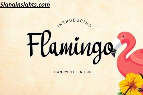 Flamingo Slang 101 Meaning, Origin & Usage (2026)