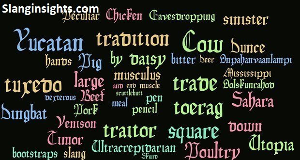 Mississippi Slang Explained Words You’ve Never Heard Before