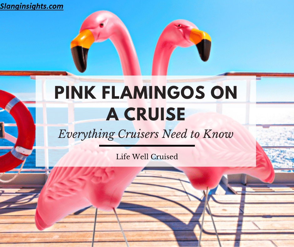 What Does Flamingo Mean in Slang? The Full Meaning Explained
