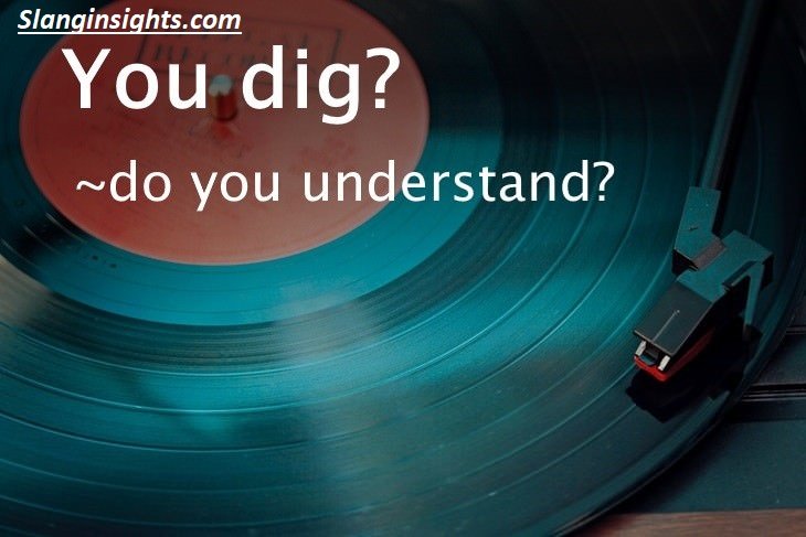 Dig 1960 Slang Dictionary Dig, Groovy, and Other Far Out Terms