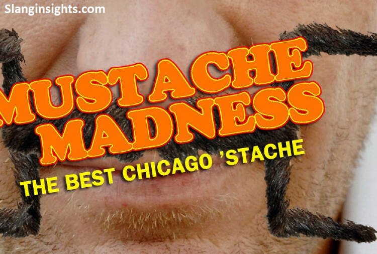 Mustache Slang 101 What Guys Really Call Their Stache