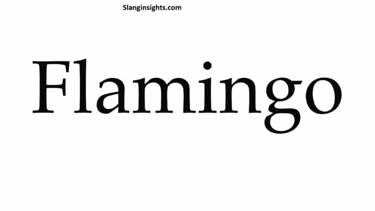 What Does Flamingo Mean in Slang? Internet, Dating, and Pop Culture Explained