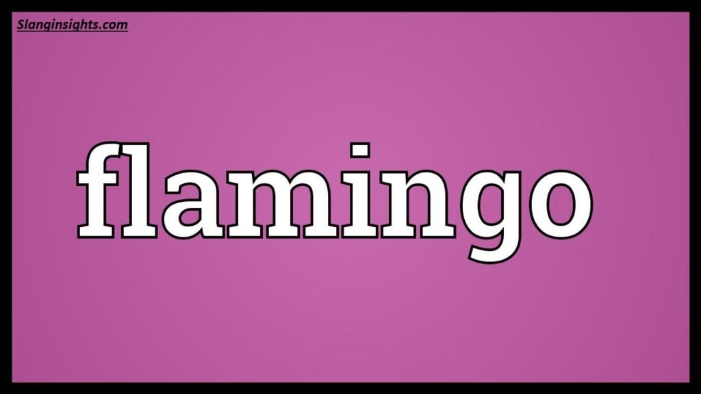 What Does Flamingo Mean in Slang? The Full Meaning Explained