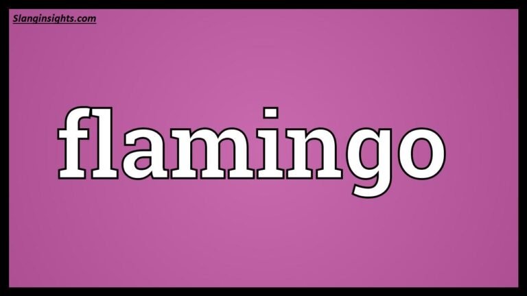 What Does Flamingo Mean in Slang? The Full Meaning Explained