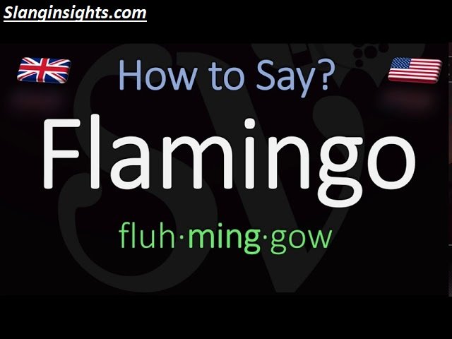 What Does Flamingo Mean in Slang? The Full Meaning Explained